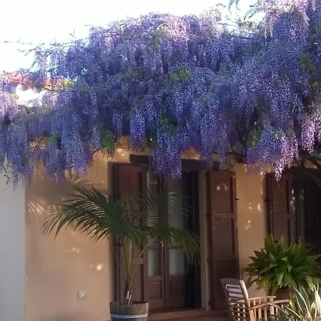 Sa Ingia 3* Кабрас