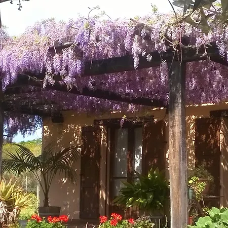 Sa Ingia Кабрас