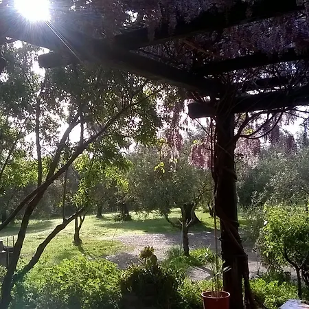 Sa Ingia Bed & Breakfast Càbras