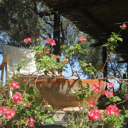 Sa Ingia B&B 까브라스