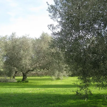 Sa Ingia Càbras