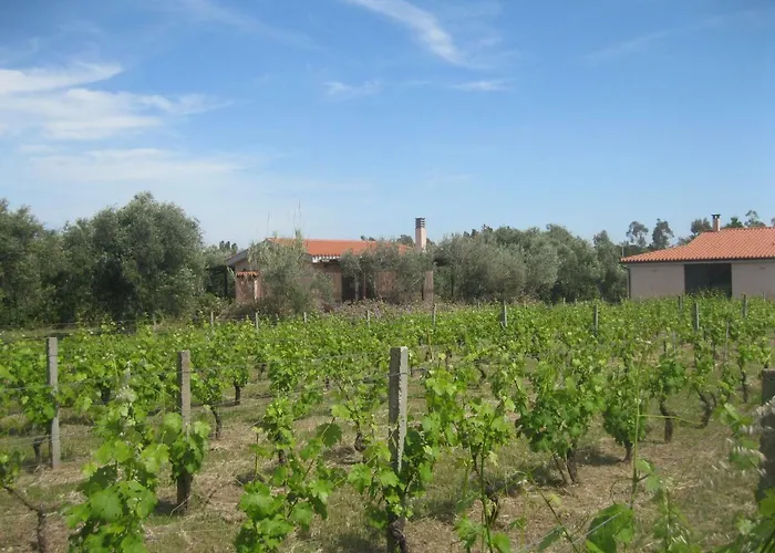 Sa Ingia Bed & Breakfast